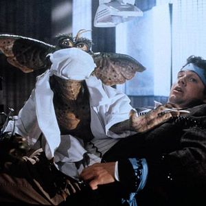 Bilder Zach Galligan