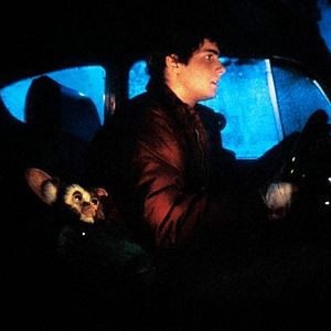 Bilder Zach Galligan