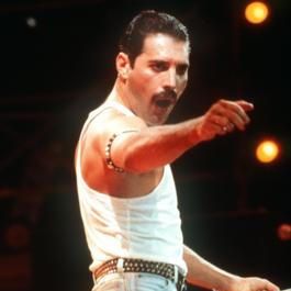 Bilder Freddie Mercury