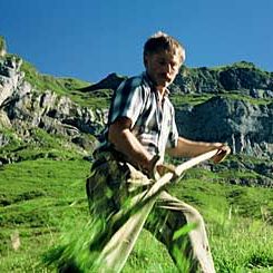 Bilder Alois Langenegger