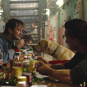 Bilder Thomas Sarbacher