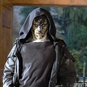 Bilder Daniel Goddard