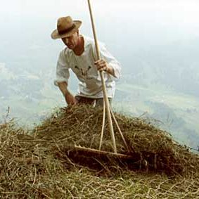 Bilder Erich Gwerder