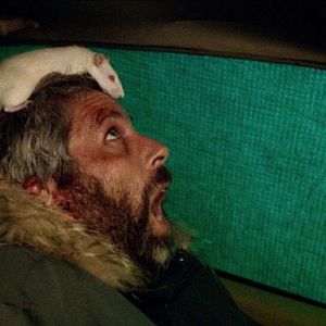 Bilder Dirk Stermann