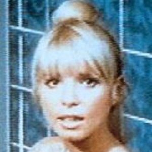 Bilder Ingrid Steeger