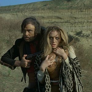 Bilder Simonetta Vitelli