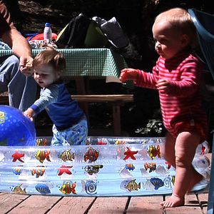 Bilder Thomas Balmès