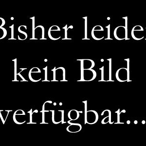 Bilder Sweet November - Eine Liebe im Herbst