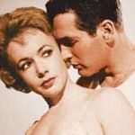 Bilder Haie der Großstadt