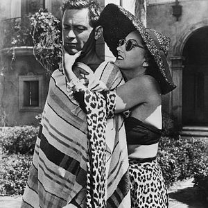 Bilder Boulevard der Dämmerung