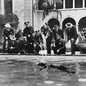 Bilder Boulevard der Dämmerung