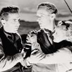 Bilder Der versteinerte Wald