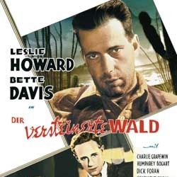 Bilder Der versteinerte Wald