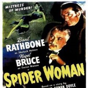 Bilder Das Spinnennest