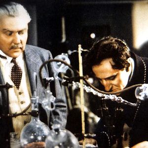 Bilder Stimme des Terrors