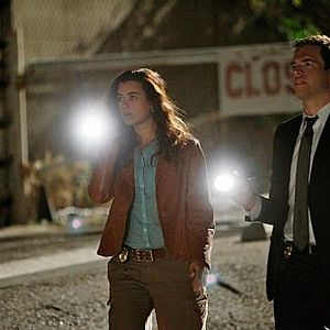 Bilder Michael Weatherly