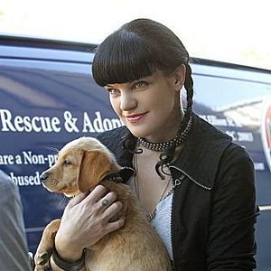 Bilder Pauley Perrette