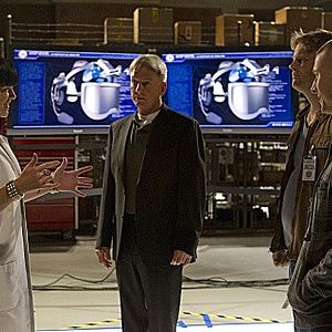 Bilder Pauley Perrette