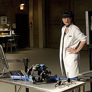 Bilder Pauley Perrette