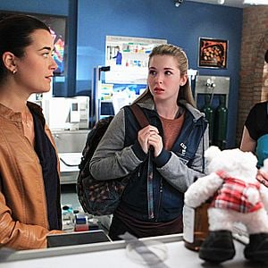 Bilder Pauley Perrette