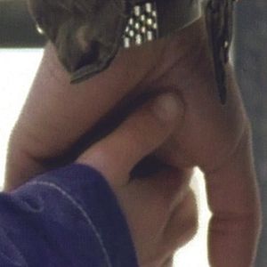 Bilder Die Ausreißer