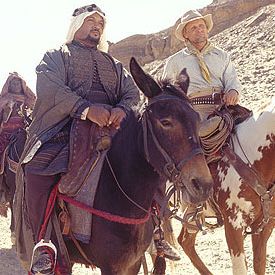 Bilder Adam Alexi-Malle