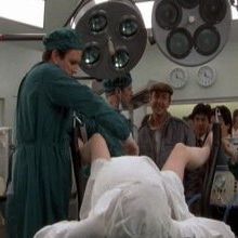 Bilder Der Sinn des Lebens