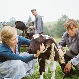 Bilder Filip Peeters