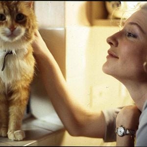 Bilder Stories of Lost Souls