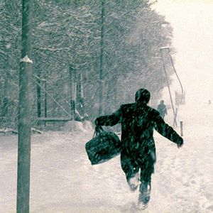 Bilder Ali Nicksaulat