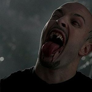 Bilder Graham Shiels