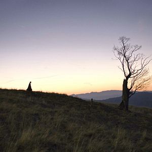 Bilder Hanno Koffler