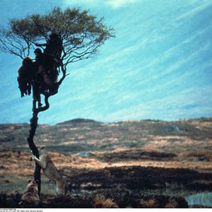 Bilder Nicholas Kadi