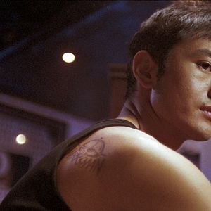 Bilder Xiaoming Huang