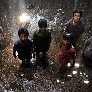 Bilder Das Lied der Sperlinge