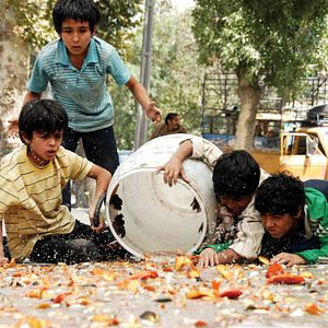 Bilder Das Lied der Sperlinge