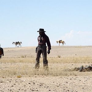 Bilder GallowWalkers