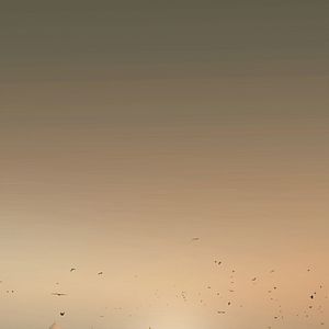 Bilder Ayush Mahesh Khedekar