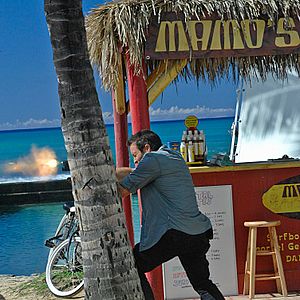 Bilder Alex O'Loughlin