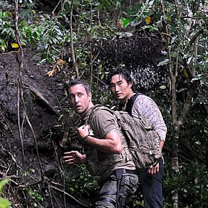 Bilder Hawaii Five-0