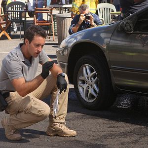 Bilder Hawaii Five-0