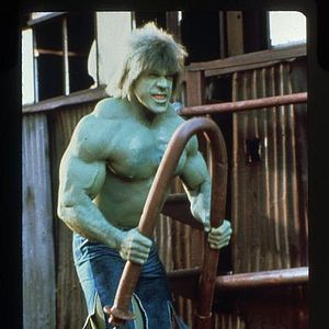 Bilder Lou Ferrigno