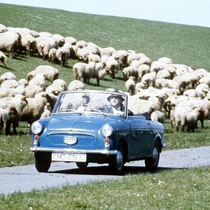 Bilder Otto - Der Außerfriesische