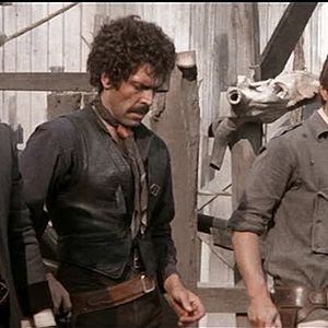 Bilder Joshua Sinclair