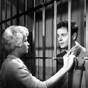 Bilder Rosen für den Staatsanwalt