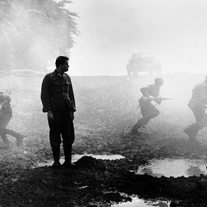 Bilder Rosen für den Staatsanwalt