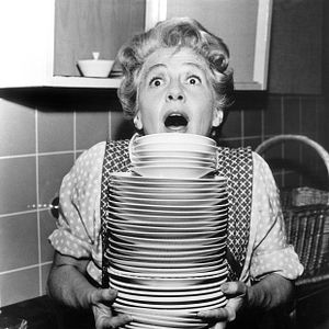 Bilder Rosen für den Staatsanwalt