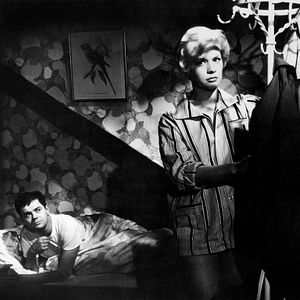 Bilder Rosen für den Staatsanwalt