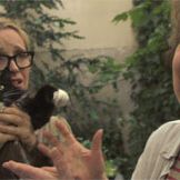 Bilder Alexia Landeau