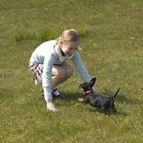 Bilder 4400 - Die Rückkehrer